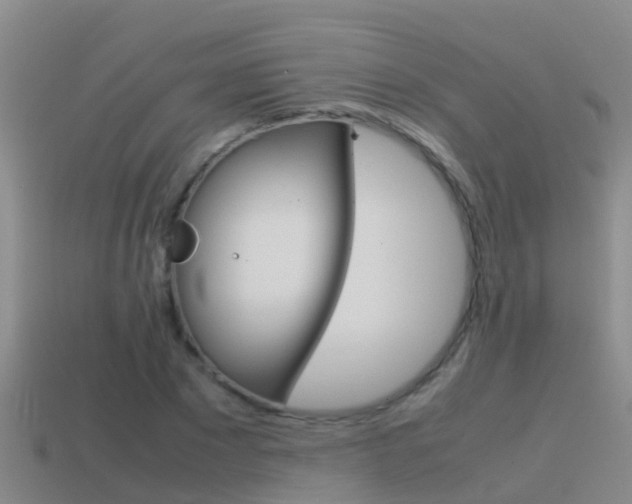 X0000115500881200911061020