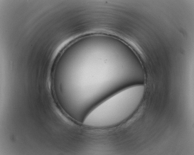 X0000115500888200911061020