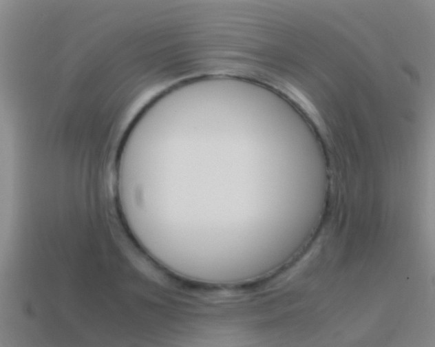X0000115500891200911061020