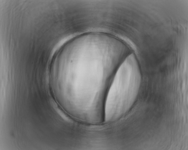 X0000115500894200911061020