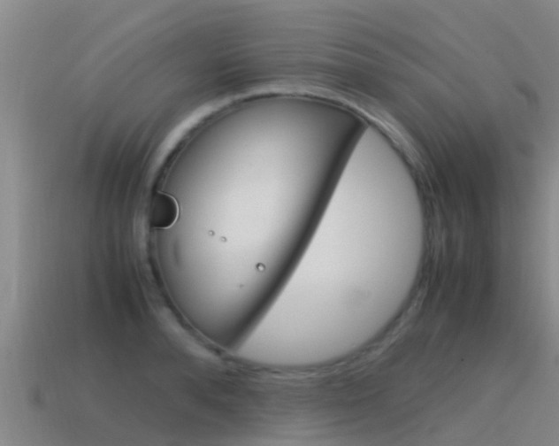 X0000115500896200911061020
