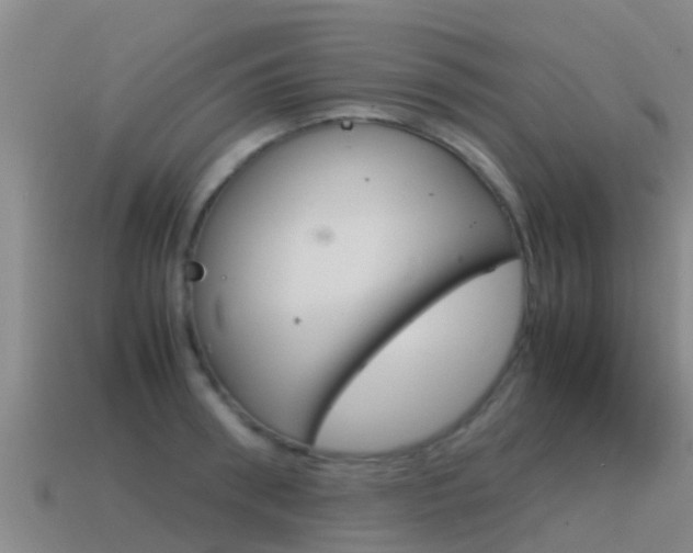 X0000115500898200911061020