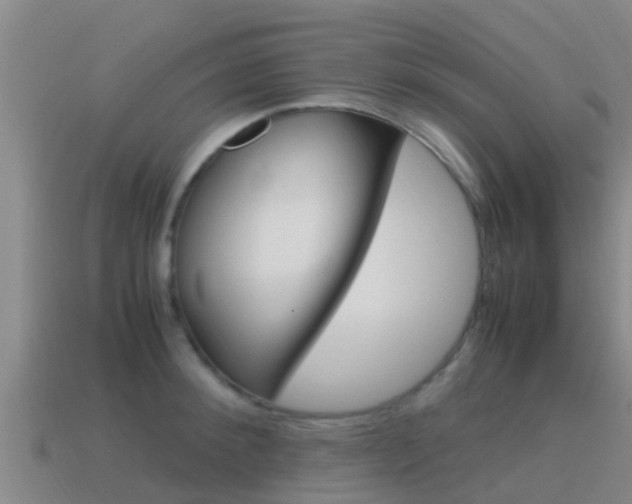 X0000115500900200911061020