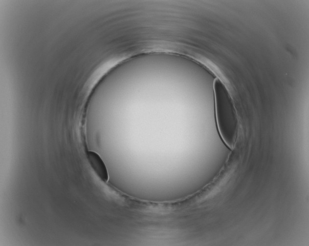 X0000115500901200911061020