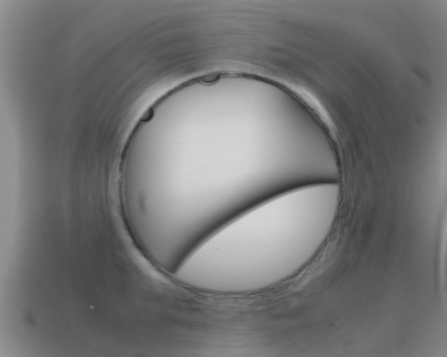 X0000115500903200911061020