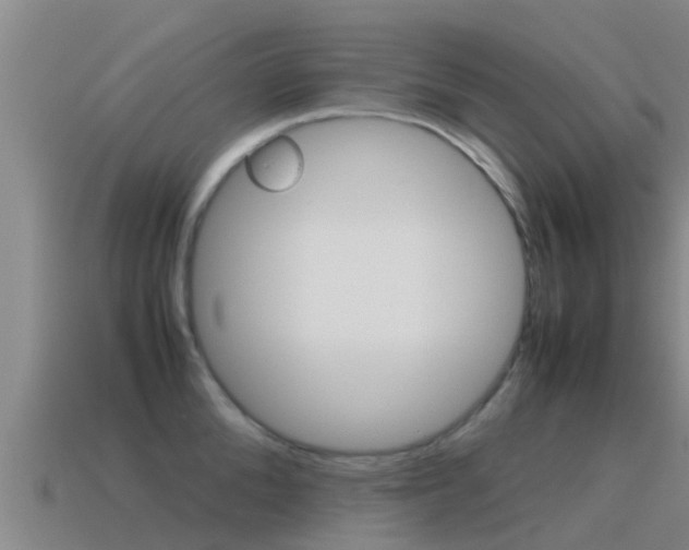 X0000115500904200911061020