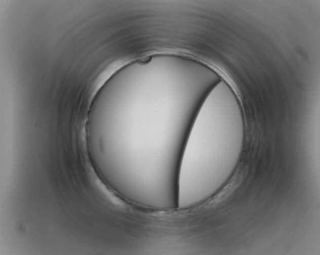 X0000115500906200911061020