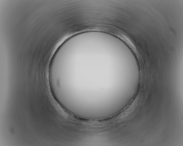 X0000115500907200911061020