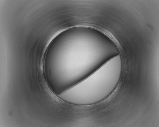 X0000115500908200911061020