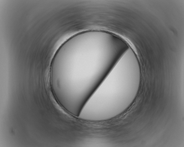 X0000115500911200911061020
