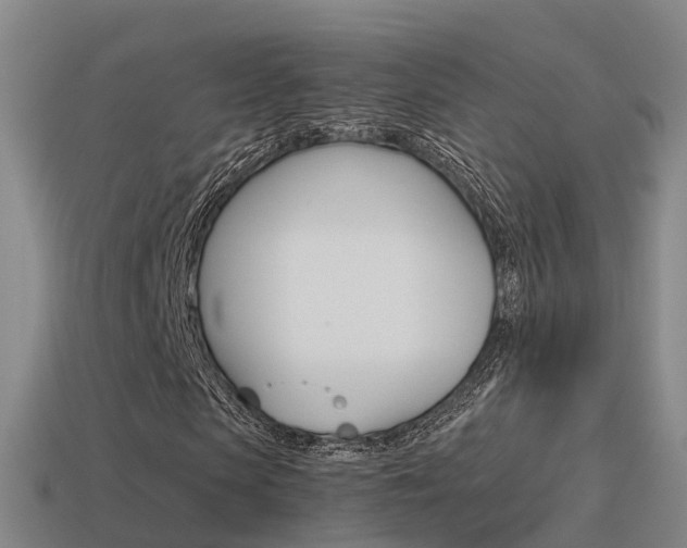 X0000115500913200911061019