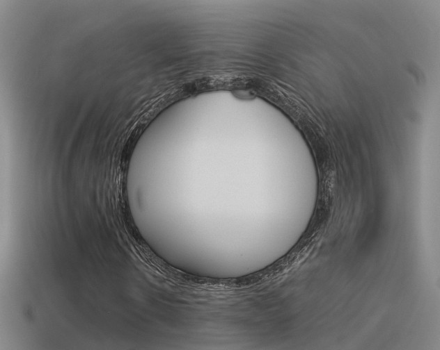 X0000115500914200911061019