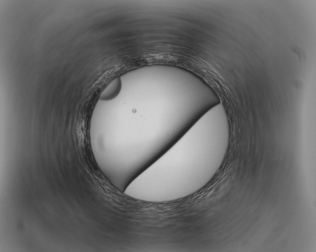 X0000115500915200911061019