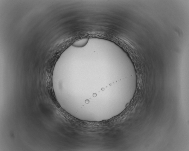 X0000115500917200911061019