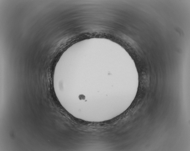 X0000115500918200911061019