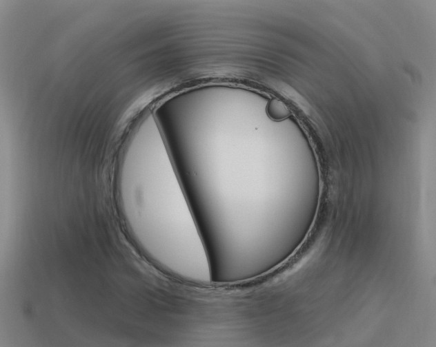 X0000115500922200911061019