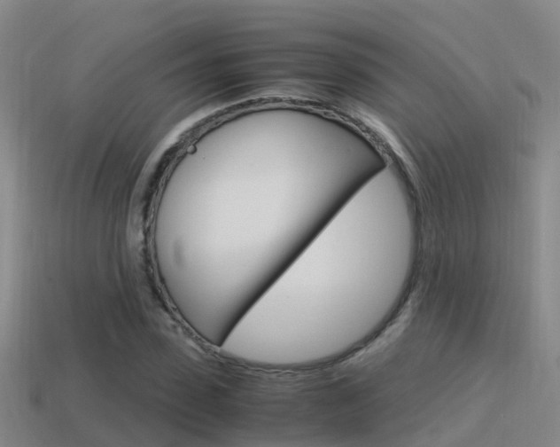 X0000115500923200911061019
