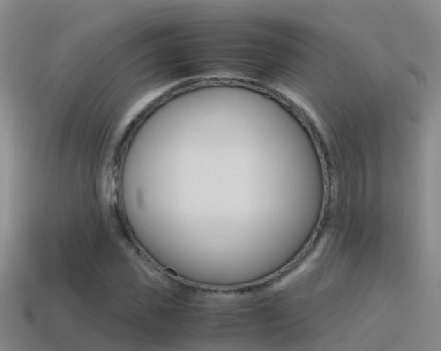 X0000115500925200911061019