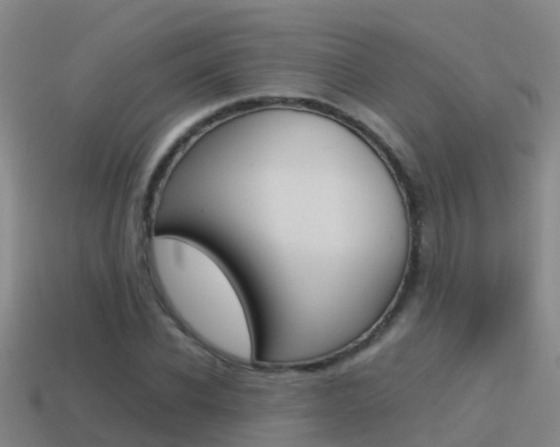 X0000115500926200911061019