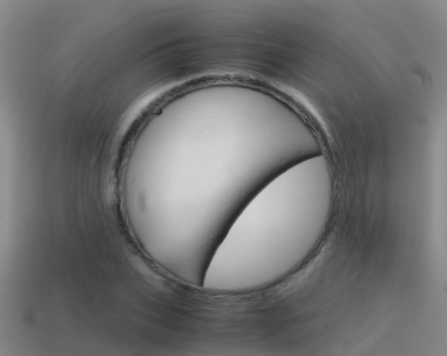 X0000115500927200911061019