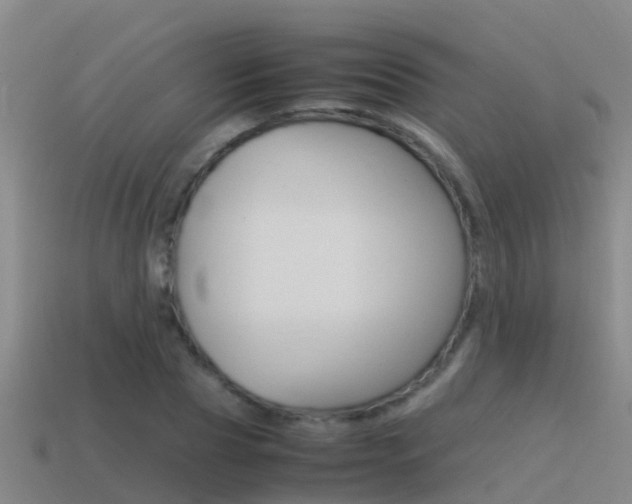 X0000115500929200911061019