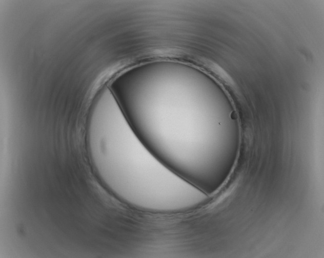 X0000115500930200911061019