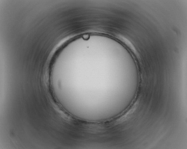 X0000115500931200911061019