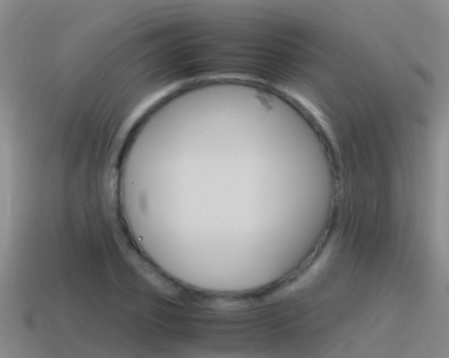 X0000115500933200911061019