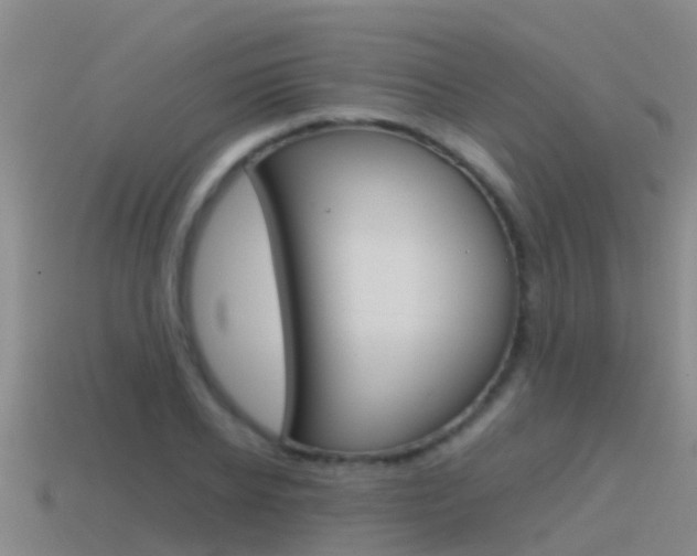 X0000115500934200911061019