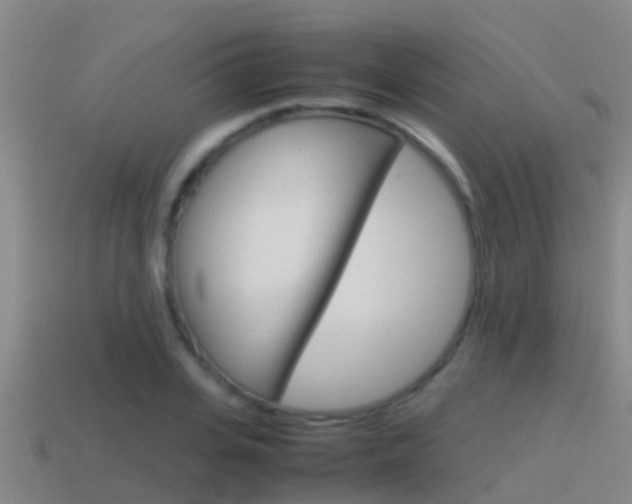 X0000115500935200911061019