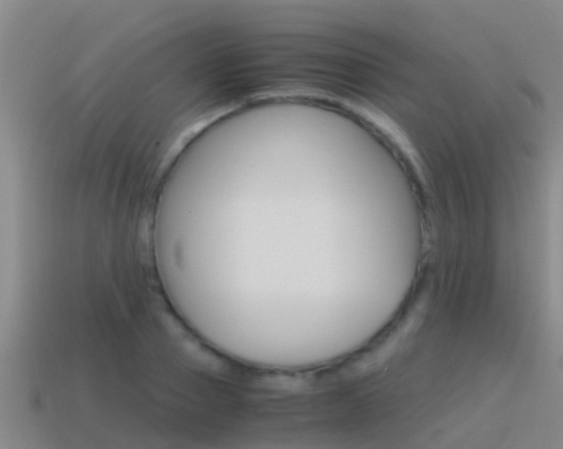 X0000115500937200911061019