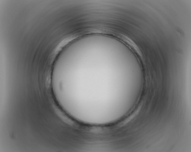 X0000115500938200911061019