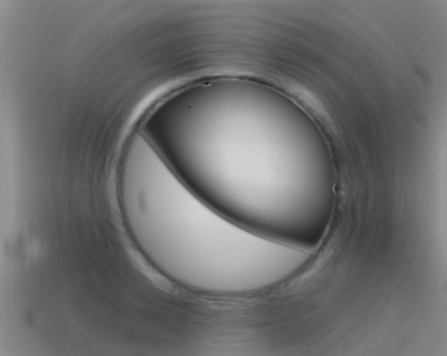 X0000115500942200911061019