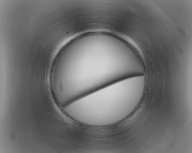 X0000115500943200911061019