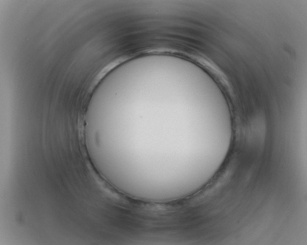 X0000115500945200911061020