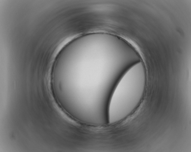X0000115500949200911061020