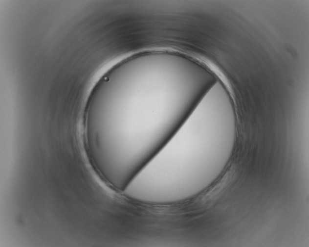 X0000115500951200911061020