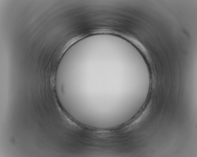 X0000115500953200911061020