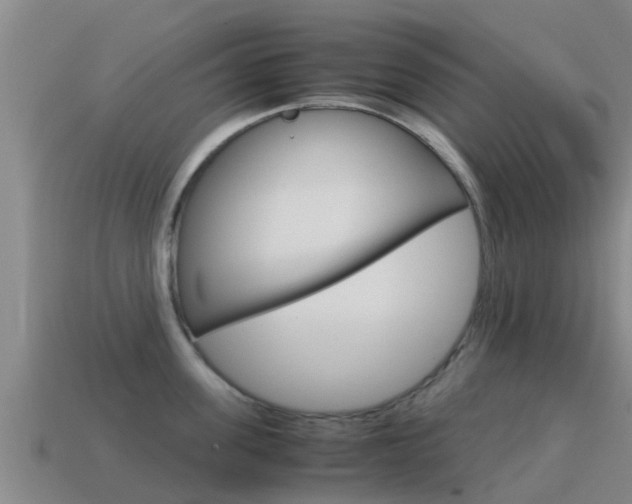X0000115500955200911061020