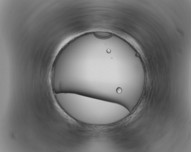 X0000115500958200911061020