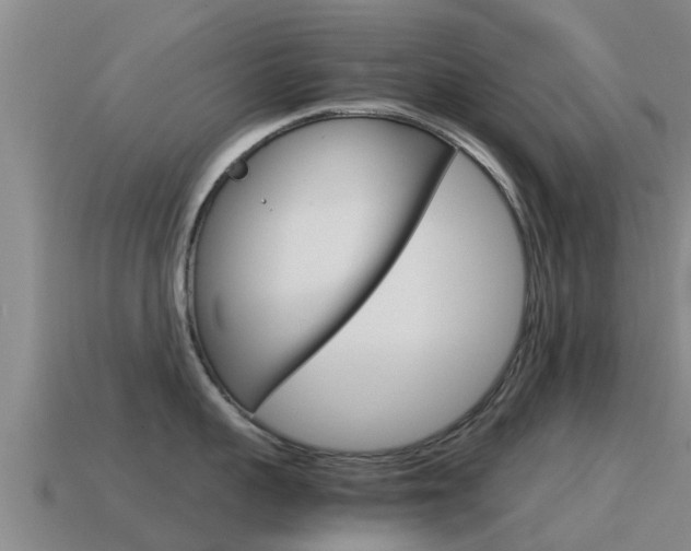 X0000115500959200911061020