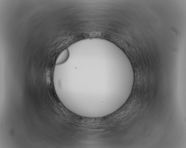 X0000115500962200911061019
