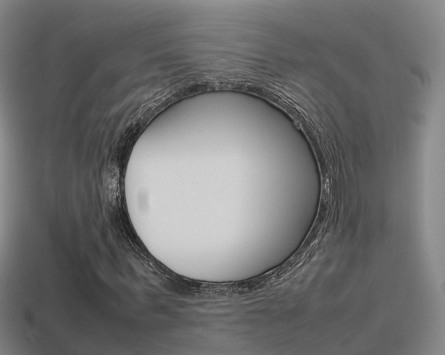 X0000115500963200911061019
