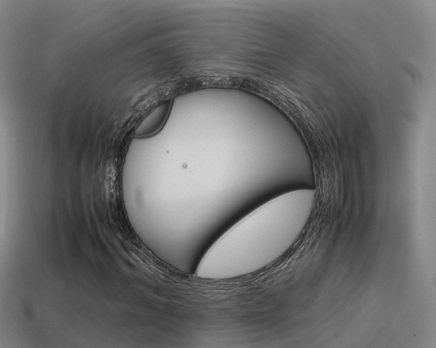 X0000115500964200911061019