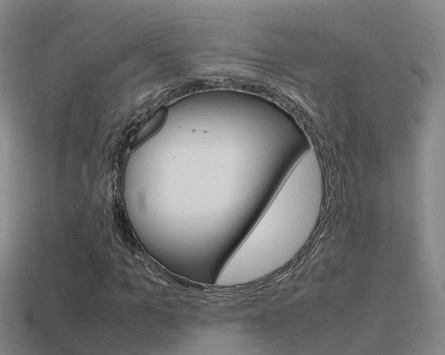 X0000115500965200911061019