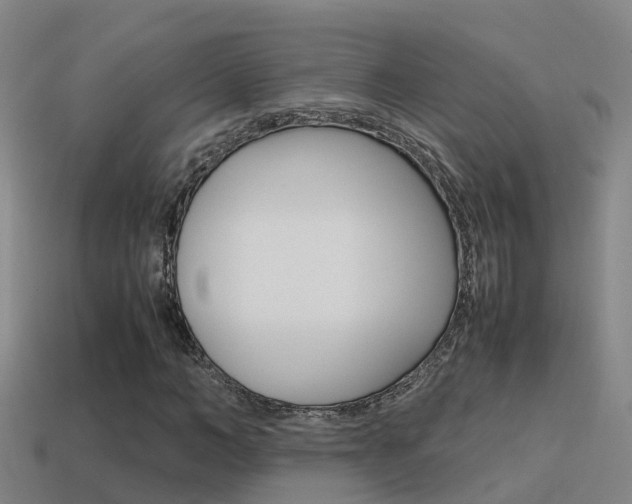X0000115500966200911061019