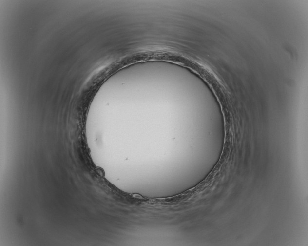 X0000115500967200911061019