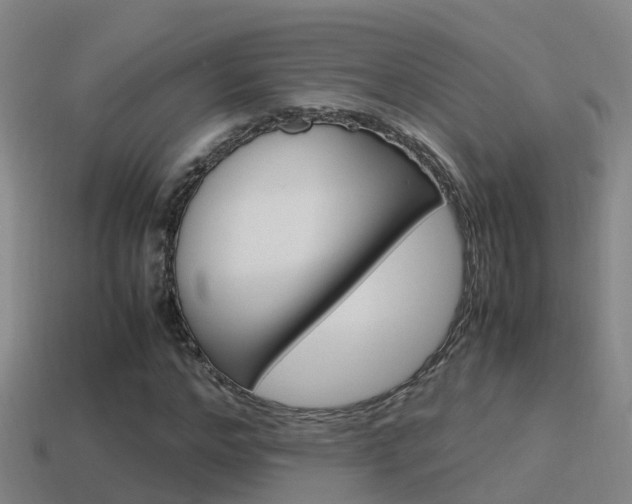 X0000115500968200911061019