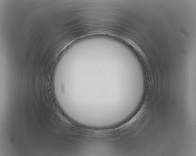 X0000115500969200911061019