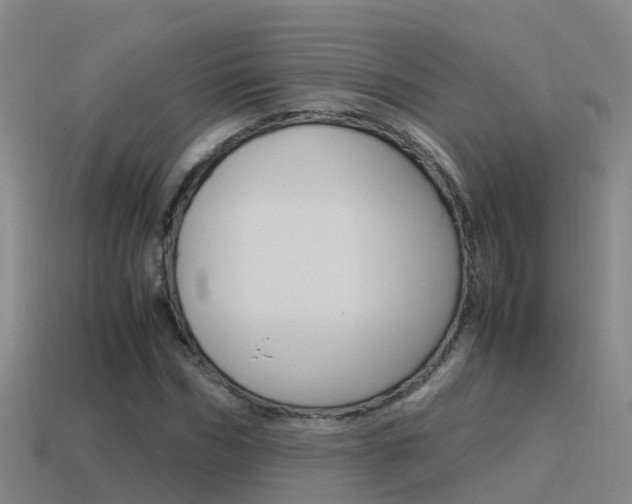X0000115500970200911061019